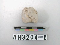 藏品(石英石料)的圖片